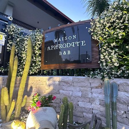 Maison Aphrodite 博斯科雷亚莱 外观 照片